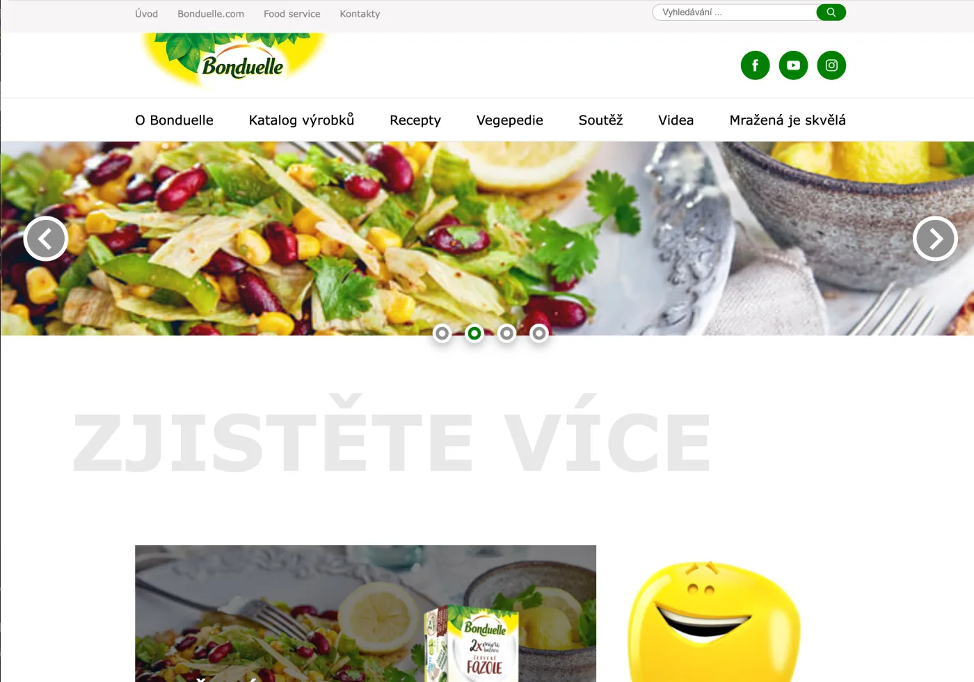 bonduelle.cz - redesign webu a WordPress šablona